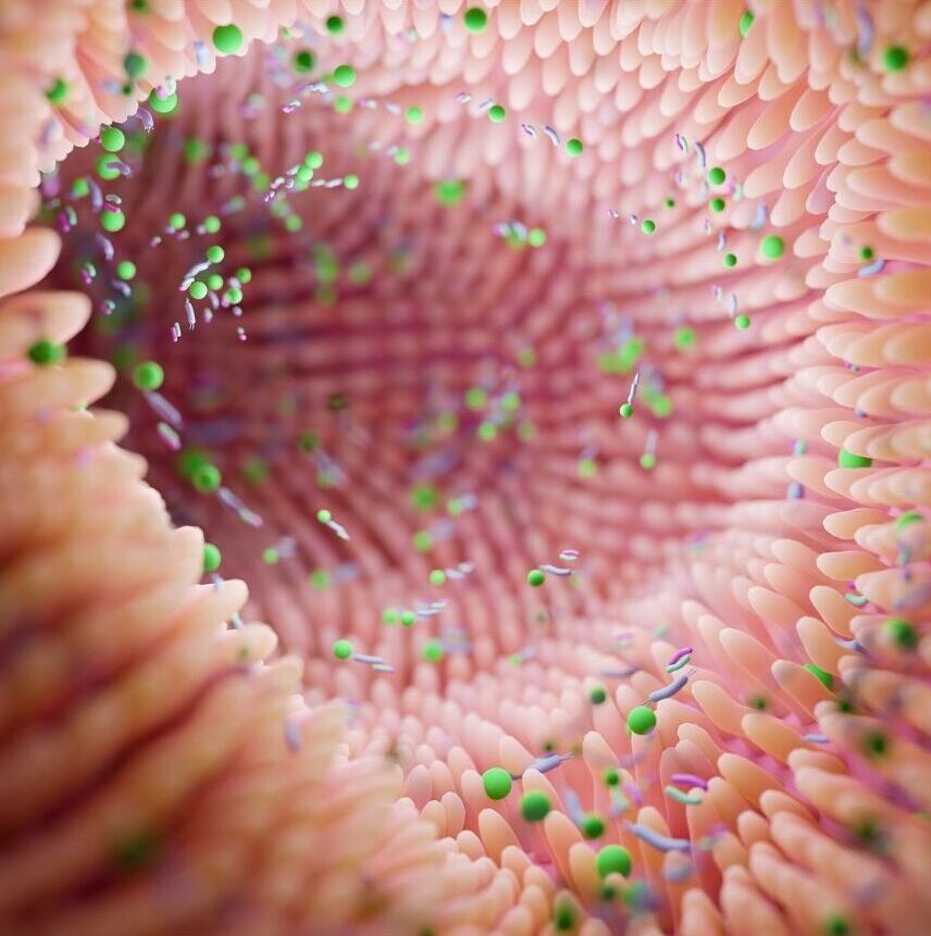 Mikrobiomanalyse
